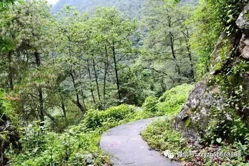 聚焦2024海南“两会”丨政协第八届海南省委员会第二次会议隆重开幕